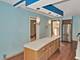 10208 S St Louis, Evergreen Park, IL 60805