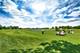 21255 Silktree, Plainfield, IL 60544