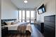 1600 S Indiana Unit 803, Chicago, IL 60616