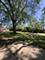 6925 Elder, Bridgeview, IL 60455
