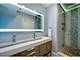 1601 S Indiana Unit 503, Chicago, IL 60616