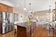 385 Andover, Oswego, IL 60543
