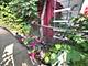 814 Norfolk, Westchester, IL 60154