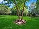 979 Huntington Unit 979, Elk Grove Village, IL 60007