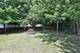 615 Park, Woodstock, IL 60098