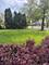 701 S La Grange, La Grange, IL 60525