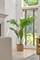 722 N Leavitt, Chicago, IL 60612