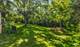 329 Somonauk, Park Forest, IL 60466