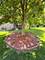 8733 Golfview, Orland Park, IL 60462