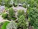 1620 Canterbury, Glenview, IL 60025