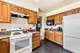 700 S Hamlin, Park Ridge, IL 60068
