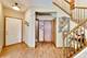 1179 W Maggie, Romeoville, IL 60446