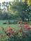 24331 N Kelsey, Barrington, IL 60010