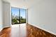 233 E 13th Unit 2102, Chicago, IL 60605