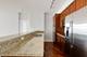 233 E 13th Unit 2102, Chicago, IL 60605