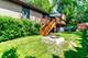 1104 Monroe, Wauconda, IL 60084
