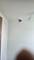 9433 S Michigan, Chicago, IL 60619