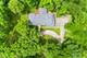 4 Auburn, Barrington, IL 60010