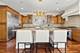 410 S Sleight, Naperville, IL 60540