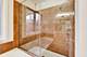 484 N Canal, Chicago, IL 60654