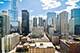 545 N Dearborn Unit 3008, Chicago, IL 60654