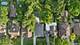 389 Addison, Riverside, IL 60546