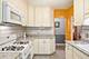 389 Addison, Riverside, IL 60546