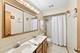17218 Shetland, Tinley Park, IL 60487