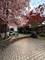 1815 N Paulina Unit 1, Chicago, IL 60622