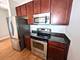 100 E 14th Unit 1508, Chicago, IL 60605