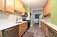 1730 W Foster Unit 1, Chicago, IL 60640