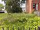 4240 S St Lawrence, Chicago, IL 60653