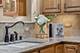 1572 Treeline, Naperville, IL 60565