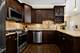 4927 N Damen Unit 1C, Chicago, IL 60625