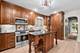815 N Marion, Oak Park, IL 60302