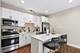 6835 S Clyde, Chicago, IL 60649