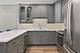 4553 N Magnolia Unit 308, Chicago, IL 60640