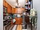 3001 S Michigan Unit 1006, Chicago, IL 60616