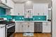 13500 S Redberry, Plainfield, IL 60544