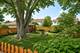 554 Patton, Buffalo Grove, IL 60089