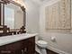 1456 S Emerald, Chicago, IL 60607