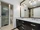 1456 S Emerald, Chicago, IL 60607