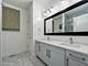 1456 S Emerald, Chicago, IL 60607