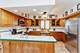 7022 Birchwood, Niles, IL 60714