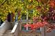 1717 W Nelson Unit 2, Chicago, IL 60657