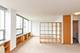 1455 N Sandburg Unit 1003B, Chicago, IL 60610