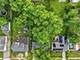204 Washington, Park Forest, IL 60466