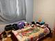 8417 S Scottsdale, Chicago, IL 60652