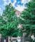 6332 S Ingleside Unit 3, Chicago, IL 60637