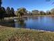 424 Mallard Unit 424, Deerfield, IL 60015